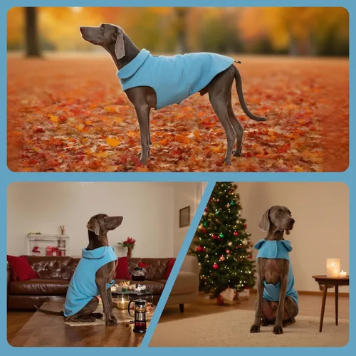 Vista 7 de DENTRUN - Abrigo de forro polar para perros en invierno resistente al viento chaqueta reflectante para mascota chaleco para perro para razas