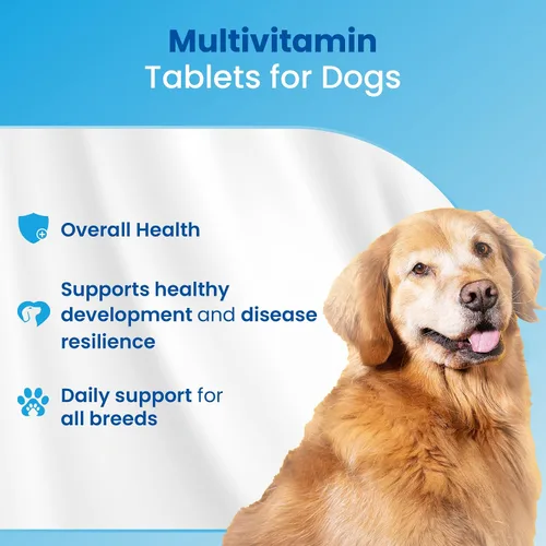 Vista 8 de Bio PetActive VitaliDOG Multivitamínico masticables para perros con biotina, vitaminas A E complejo B y aminoácidos, apoya la piel sana, el pelaje