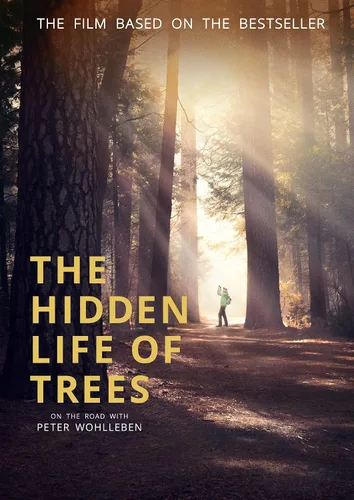 Vista 2 de The Hidden Life of Trees