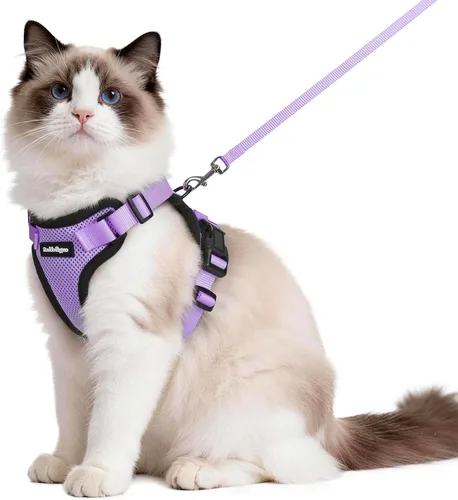 Vista 77 de rabbitgoo Cat Harness and Leash Set, Escape Proof Vest, XXS, Berry Pounce Soft Breathable Mesh, No-choke Adjustable Fit, Snap Buckles, Sturdy