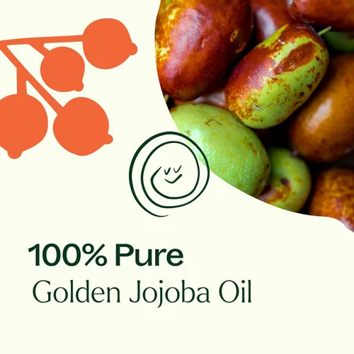 Vista 5 de Plant Therapy Aceite portador dorado de jojoba de 4 onzas, 100% puro, prensado en frío, natural y libre de OGM y aceite portador para aceites