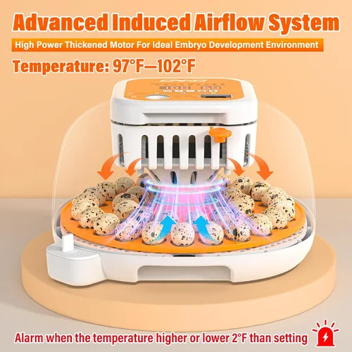 Vista 2 de 36 incubadoras de codorniz para incubar huevos, incubadora de huevos de codorniz con giro automático de huevos y control de humedad, control