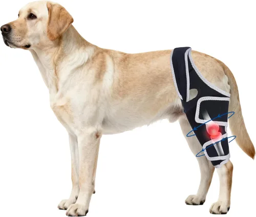Vista 13 de Dog Knee Brace for Torn Acl Hind Leg, Relieves Ligament Injury and Joint Pain, Adjustable Leg Support Bracket for Warmth and Support, Universal Dog