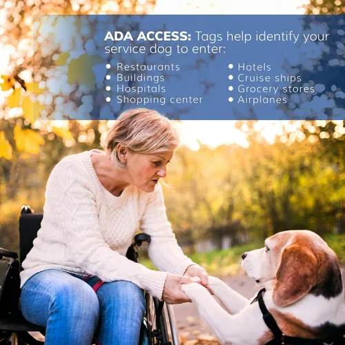 Vista 6 de ActiveDogs - Identificación para perro de servicio, etiqueta de alerta médica para collar, chaleco o arnés, requiere acceso ADA de doble cara, cromo
