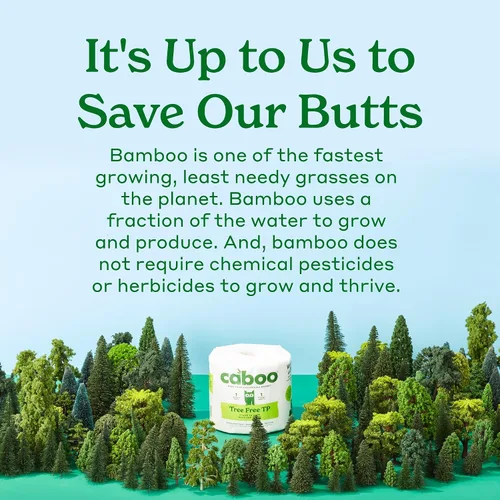 Vista 7 de Caboo Cuencos desechables de papel de bambú, paquete de 125 cuencos biodegradables resistentes de 14 onzas, cuenco compostable, cuenco de fiesta