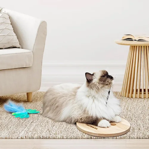 Vista 8 de JXFUKAL Juguete interactivo para gato, varita de gato automática con base de madera estable, 2 piezas de teaser para gato desmontable, 5 piezas