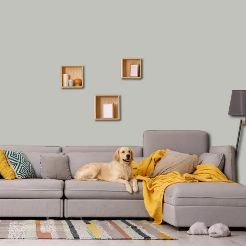 Vista 2 de PRESTIGE Paints - Pintura interior e imprimación en uno, 1 galón, cáscara de huevo, pimienta envejecida