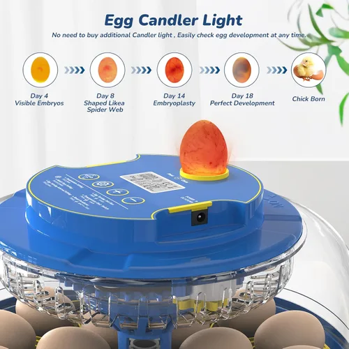 Vista 3 de Incubadora para incubar huevos con giro automático de huevos y control de temperatura/humedad, incubadora de 18 huevos para huevos