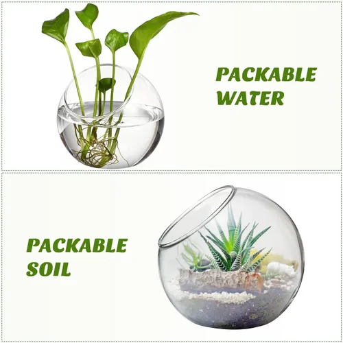 Vista 8 de Zerodeko 3 piezas de terrario de vidrio globo tazón terrario floral contenedor de burbujas transparentes plantador hidroponía maceta de vidrio