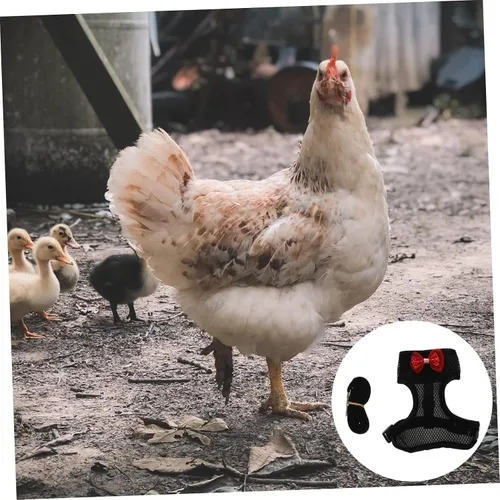 Vista 7 de Juego de arnés y correa de pollo para mascotas con cuerda de tracción ajustable, arnés de gallo duradero para paseos al aire libre y animales