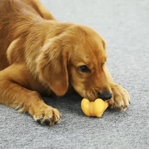 Vista 2 de Tikaton Juguetes masticables para perros para masticadores agresivos, sabor a pollo, juguetes masticables duraderos para dentición de perros, huesos