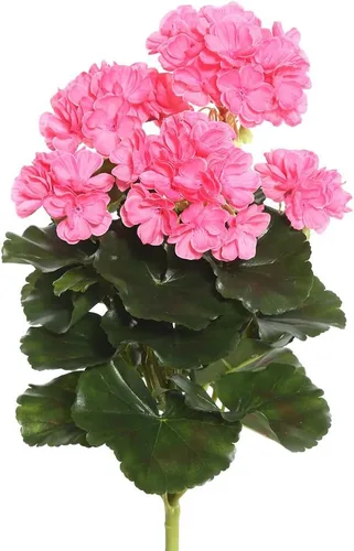 Vista 6 de Vickerman Arbusto artificial de geranio morado de 15.25 pulgadas de largo, decoración floral sintética de alta calidad para bodas o arreglos