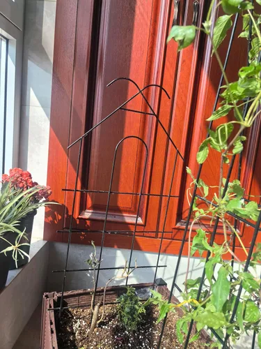 Vista 6 de ARIFARO Enrejado de metal de 24 pulgadas para plantas trepadoras, paquete de 4 enrejados para plantas en maceta, enrejado negro para interiores
