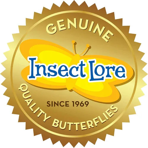 Vista 11 de Jardín Insect Lore para mariposas vivas, NA