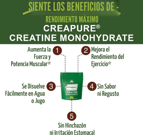 Vista 3 de Creapure creatina monohidrato en polvo. Creatina de ultra alta pureza fabricada en Alemania sin nada más añadido. Puro y sin sabor para hombres