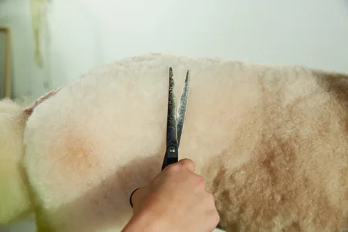 Vista 3 de Herramientas premium de aseo para perro Andis , Mano izquierda, tijeras rectas, 8