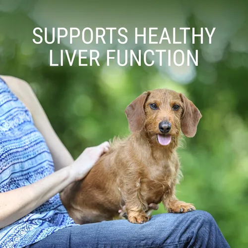 Vista 2 de Nutramax Denosyl para perros pequeños y gatos