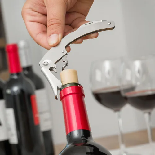 Vista 4 de Estuche de Vino Botella InnovaGoods 5 Piezas