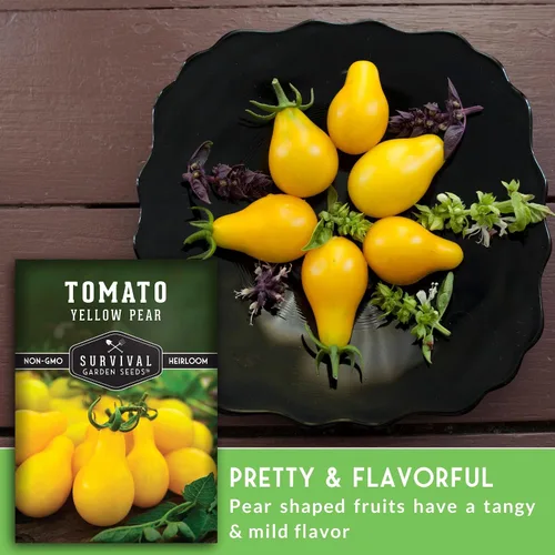 Vista 4 de Semillas de tomate Yellow Pear para plantar, variedad indeterminada de reliquia, racimos prolíficos de tomates cherry dorados en forma de pera