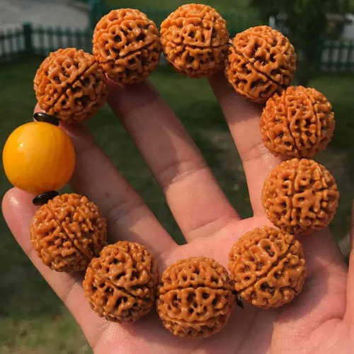 Vista 4 de Pulsera de la suerte con cuentas de turquesa Rudraksha natural de 0.984in #18365