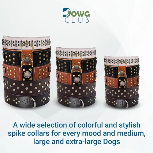 Vista 7 de Collar de perro de la serie 'Cupola' de cuero genuino, conchos celtas y remaches de cúpula dorada, acolchado suave, hecho a mano, ideal para razas