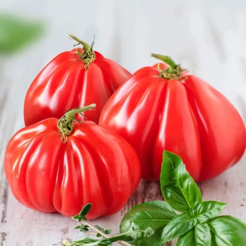 Vista 25 de Semillas de huerto para plantar - Cultiva verduras tradicionales (pimienta de 5 colores)