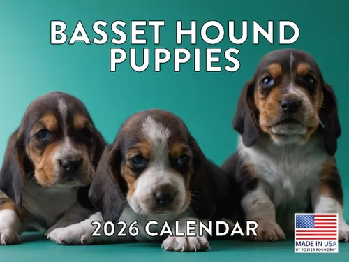 Vista 52 de Calendario mensual de pared Airedale Terrier Dog 2027 rojo (Airedale Terrier)