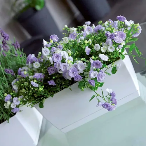 Vista 3 de Prosper Plast Coubi Box Planter, 29 x 14.2 x 13.6 cm, White, 29x14.2x13.6 cm