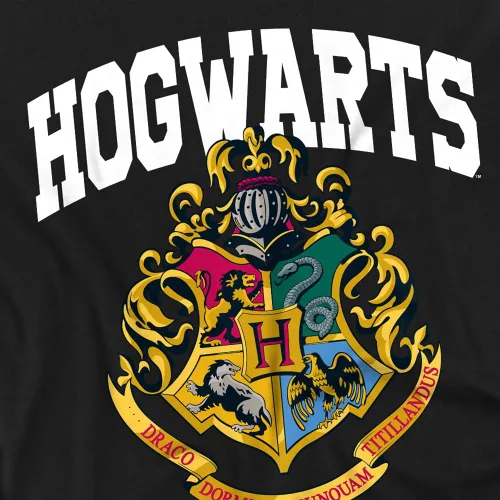 Vista 2 de Harry Potter Hogwarts Houses Collegiate Arch - Colección de camisetas unisex para adultos