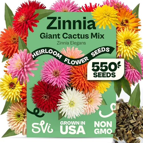 Vista 12 de Queen Anne 's Lace- 200 semillas – 50% de descuento venta
