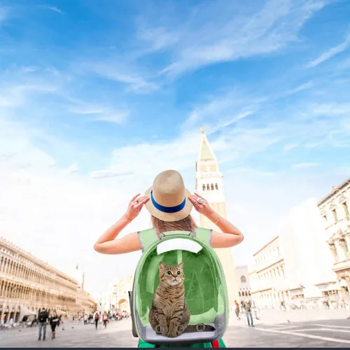 Vista 6 de Henkelion Mochila de viaje Bolsa de transporte de burbujas para perros pequeños y medianos, gatos, cápsula espacial para mascotas, perro para Verde