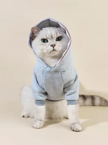 Vista 3 de QWINEE Sudadera de tiburón para perro, chaqueta abrigada para perro, sudadera con capucha para cachorro, ropa de Navidad y Halloween para perro