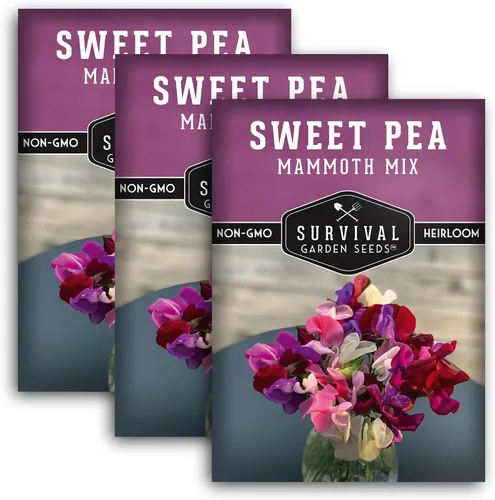 Vista 11 de Survival Garden Seeds - Semilla de guisante dulce de mamut para plantar - Paquete con instrucciones para plantar y cultivar flores fragantes en su