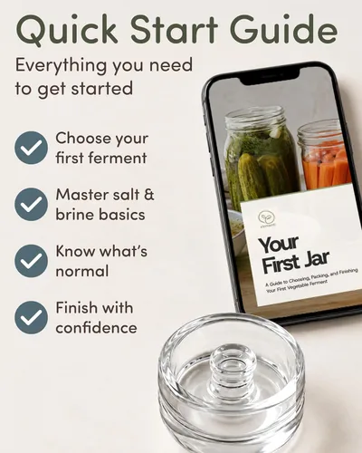 Vista 8 de Elementi - Juego de 2 pesas de fermentación, pesas de vidrio de fácil agarre para fermentación, pesos perfectos para conservas y conservas