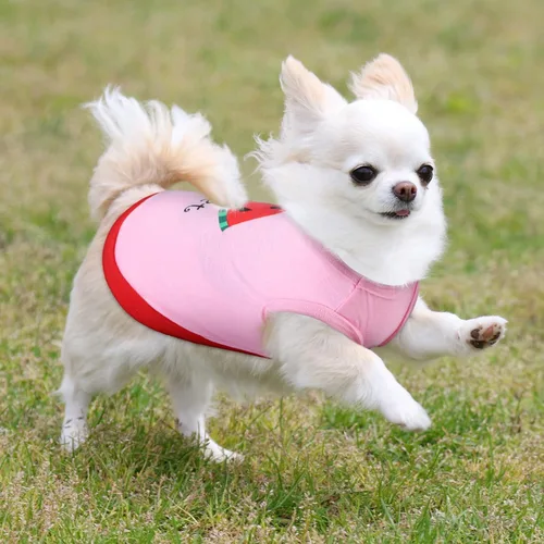 Vista 4 de Reginary 8 piezas de camisas para perros chica ropa para perros pequeños para Chihuahuas, Yorkies, camisas impresas para perritas cachorros ropa