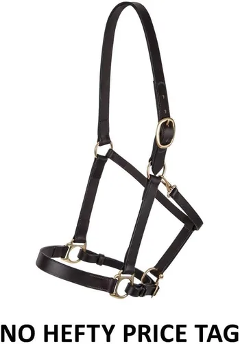Vista 3 de Dura-Tech Premier Lancaster - Cabestro de cuero para caballos Cabestro de cuero económico simple con ajuste ajustable y herrajes de latón macizo