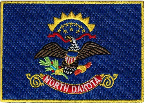 Vista 47 de Parche Bordado de la Bandera del Estado de Minnesota, Emblema MN, Planchado, Versión 2024