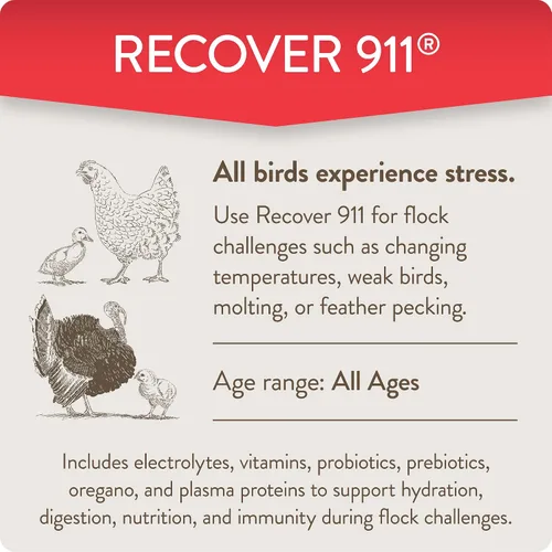 Vista 4 de FlockLeader Recover 911, Suplemento de Agua Probiótico para Estrés Severo para Pollos con Electrolitos, Prebióticos y Orégano, para la Muda, Clima
