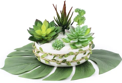 Vista 3 de Supla 5 piezas surtidas de plantas suculentas artificiales sin maceta, pequeños cactus verdes, selecciones de Echeveria, suculentas falsas a granel