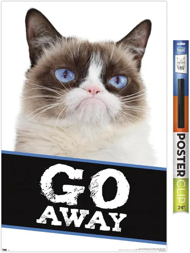 Vista 16 de Trends International Grumpy Cat - Póster de pared con texto en inglés «Go Away», 14.725 x 22.375 pulgadas, versión enmarcada de madera de granero