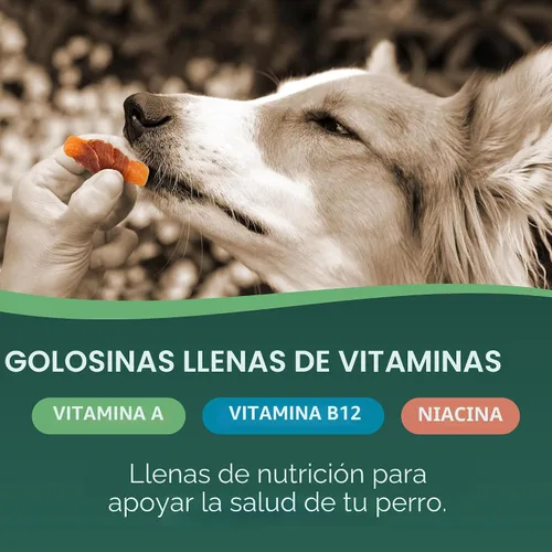 Vista 4 de Golosinas de batata con pollo envuelto para perros Healthfuls, 16oz
