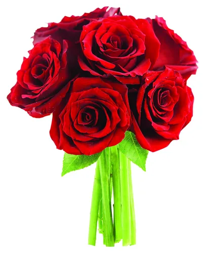 Vista 7 de KaBloom -6 ramos de rosas surtidas, flores para San Valentín, día de la madre Surtido