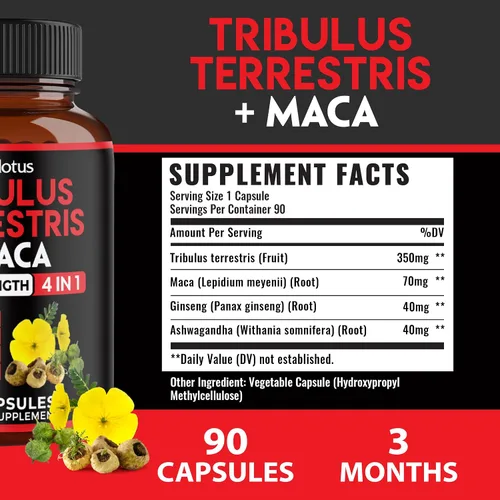 Vista 2 de Zolotus Cápsulas Premium de Tribulus Terrestris - Combinadas con Ashwagandha, Panax Ginseng y Maca - 90 Unidades para 3 Meses