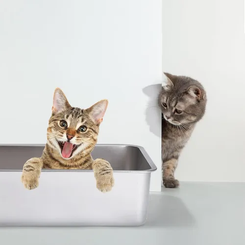 Vista 8 de Caja de arena para gatos de acero inoxidable con lados altos, nunca absorbe olores, manchas ni se oxida, superficie lisa antiadherente para gatos