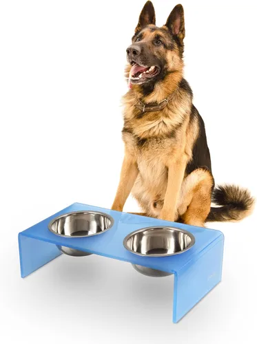 Vista 11 de DBL2000B Keaton - Comedero rectangular elevado moderno de lucita para mascotas de 5 pulgadas, tamaño pequeño/mediano, con 2 cuencos de acero