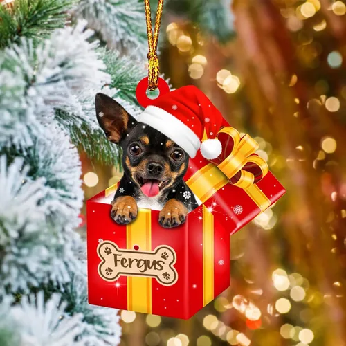 Vista 71 de Adorno de Navidad personalizado de Akita Inu, nombre personalizado Akita Inu para árbol de Navidad, en caja de regalo roja