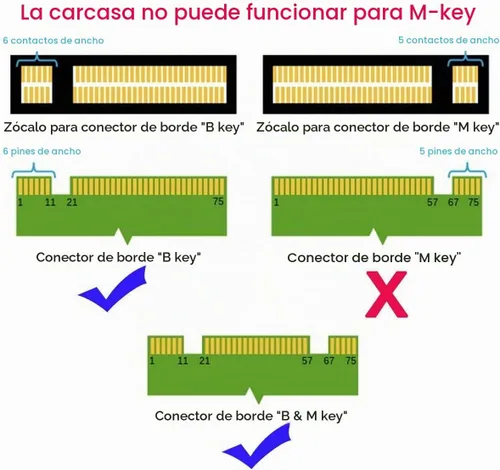 Vista 4 de chenyang 2 en 1 Mini SATA mSATA SSD y NGFF a 2.5" SATA III Adaptador Convertidor de Disco Duro