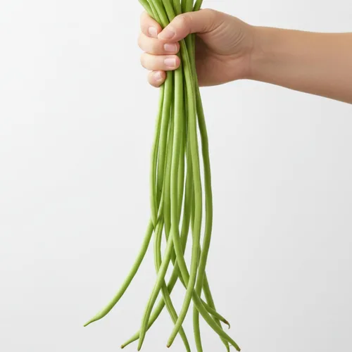 Vista 5 de Semillas de frijoles largos para plantar, 1.06 oz, aproximadamente 120 semillas de vegetales asiáticos, frijoles chinos de yardas, una alternativa