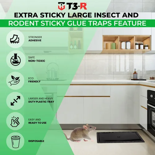 Vista 3 de T3-R Trampas adhesivas para insectos extra grandes (paquete de 12) - Tablas de pegamento para ratones e insectos - Trampas de pegamento desechables