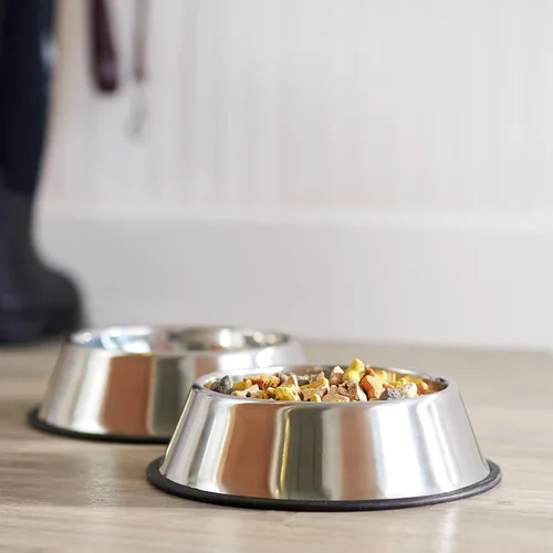Vista 6 de Amazon Basics Cuenco antideslizante de acero inoxidable para agua y comida para perros, paquete de 2 (10 x 2.8 pulgadas), cada uno con capacidad